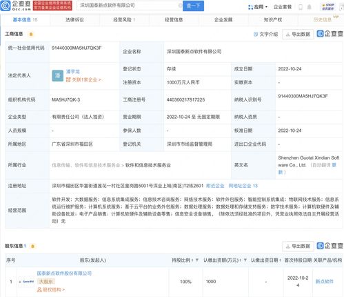 新点软件深圳子公司成立，数字技术服务成核心业务