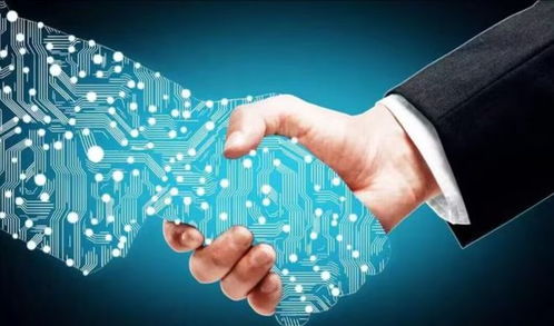 宇意阁深度解析 2023年，数字技术服务——不可错过的下一个投资风口